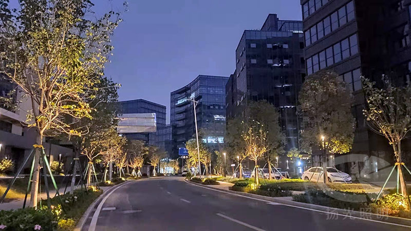 東莞中集智谷產業(yè)園景觀照明工程夜景圖
